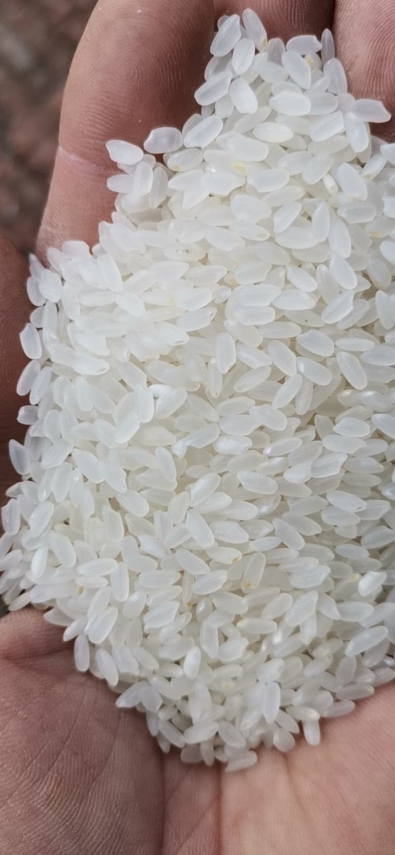 了解营口市鲅鱼圈潮汐变化,让生活更轻松