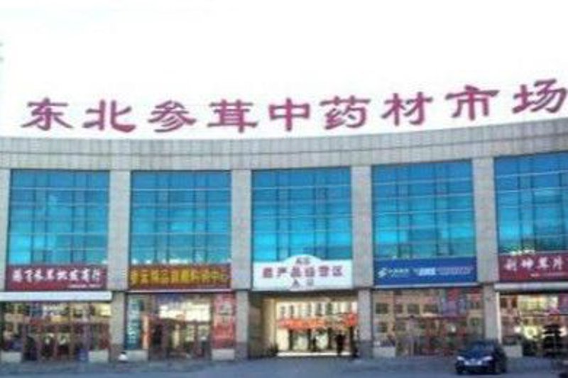 营口市鲅鱼圈区大风预警:影响与准备